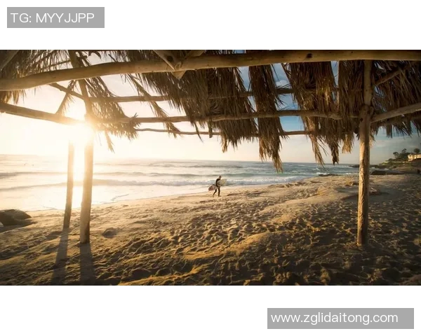 杭州极限运动队的表现分析与控制策略的得失探讨