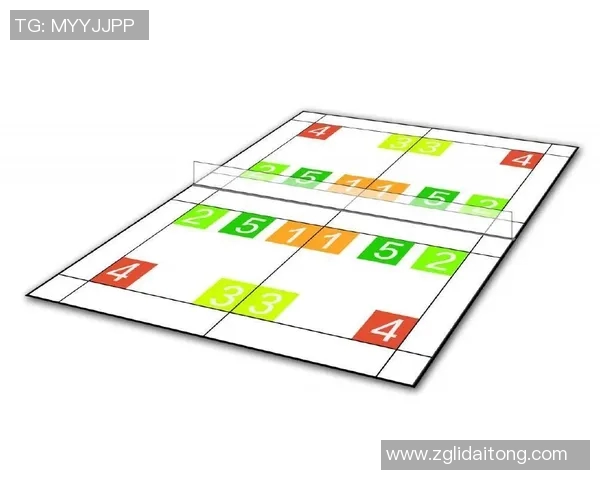 南京羽毛球队战术分析与表现评估全面解读