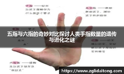 芒果体育