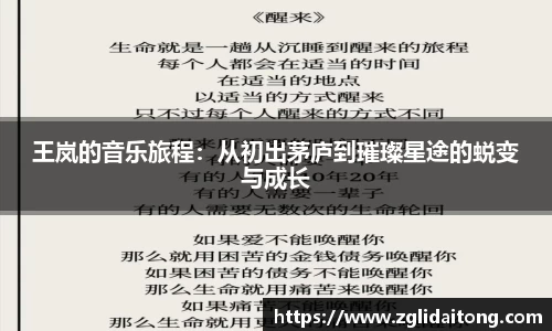 王岚的音乐旅程：从初出茅庐到璀璨星途的蜕变与成长